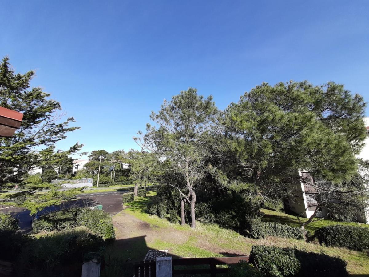 Maison Renovee Avec Terrasse A 700M Des Plages, Marche Et Activites - Tennis Et Piste Cyclable A 10M - Fr-1-239-385 Сеньос Екстериор снимка